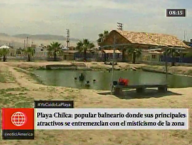Chilca: mística playa luce con residuos de comida y aves muertas - América Televisión